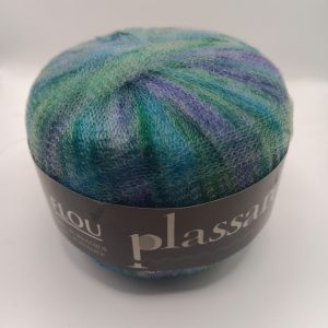 Accueil flou – plassard