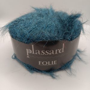 Accueil folie – plassard